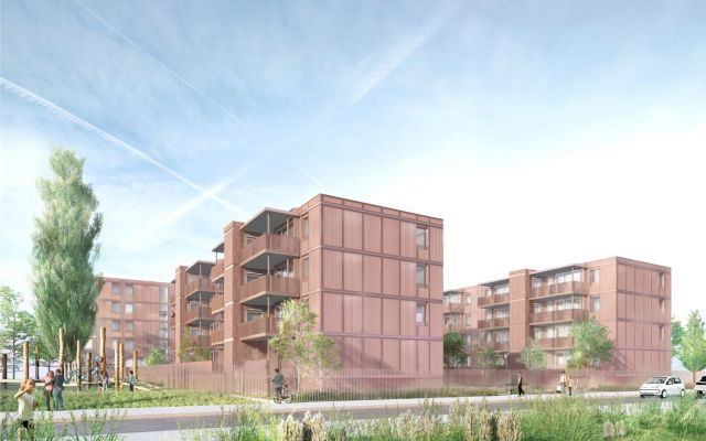 dealzua architectes