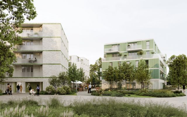dealzua architectes