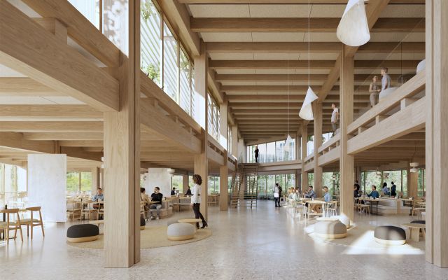 dealzua architectes