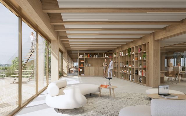 dealzua architectes