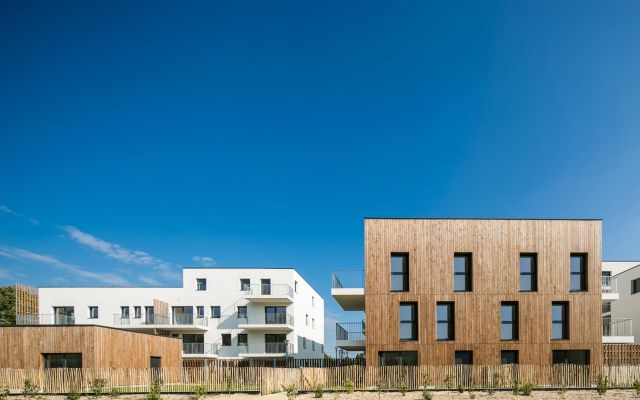 dealzua architectes